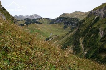 Hiking Braunarlspitze Bregenzerwald