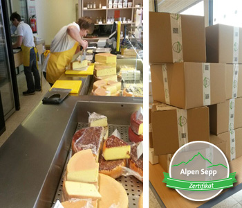 Fresh cheese cutting and packaging from the cheese wheel