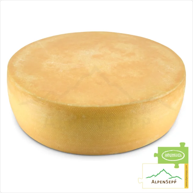 ALPS CHEESE WHEEL, spicy | Lactose-free PREMIUM alpine milk semi-hard cheese directly from the cheese cellar | 100% spicy and savory enjoyment guarantee | Perfect for raclette!