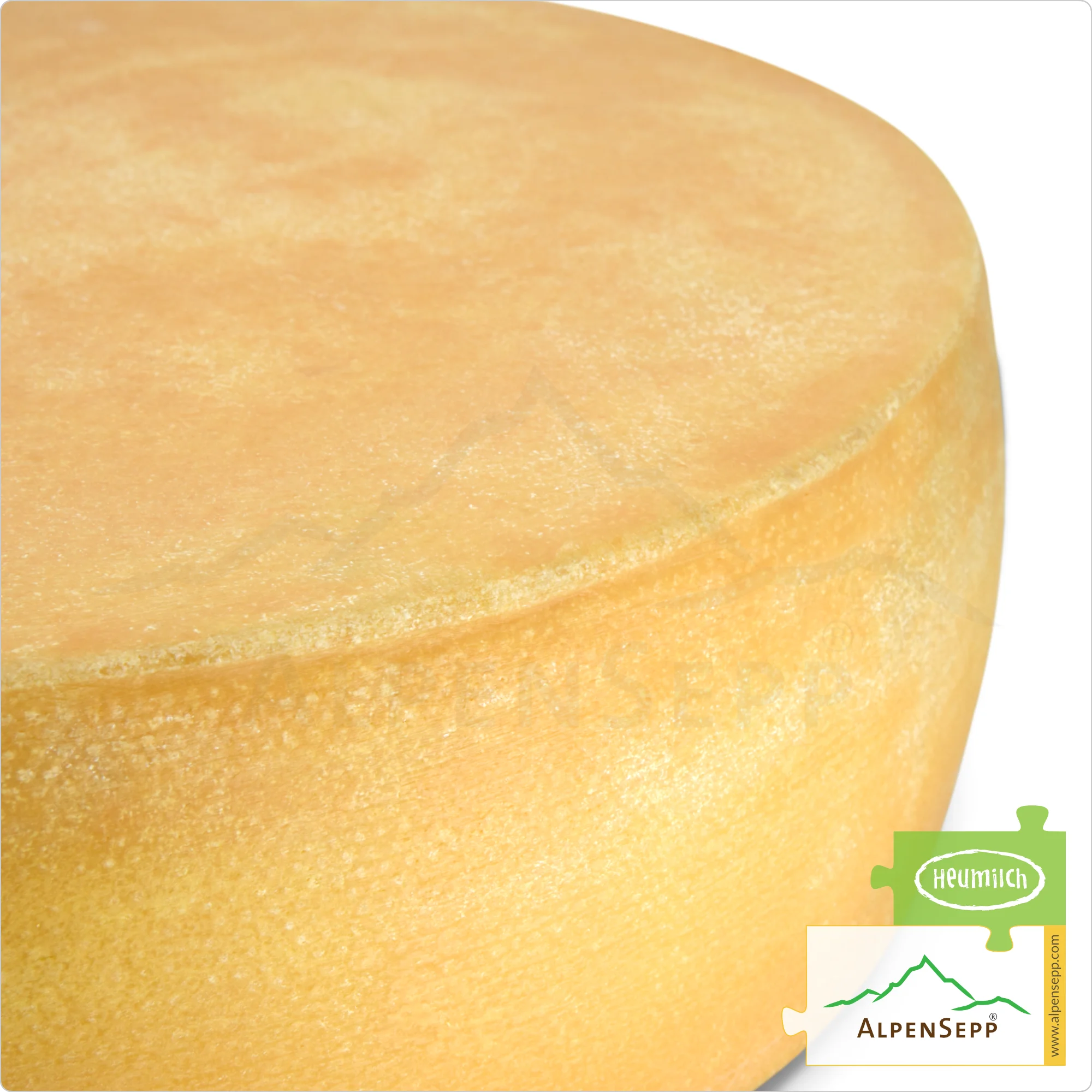 ALPS CHEESE WHEEL, spicy | Lactose-free PREMIUM alpine milk semi-hard cheese directly from the cheese cellar | 100% spicy and savory enjoyment guarantee | Perfect for raclette!