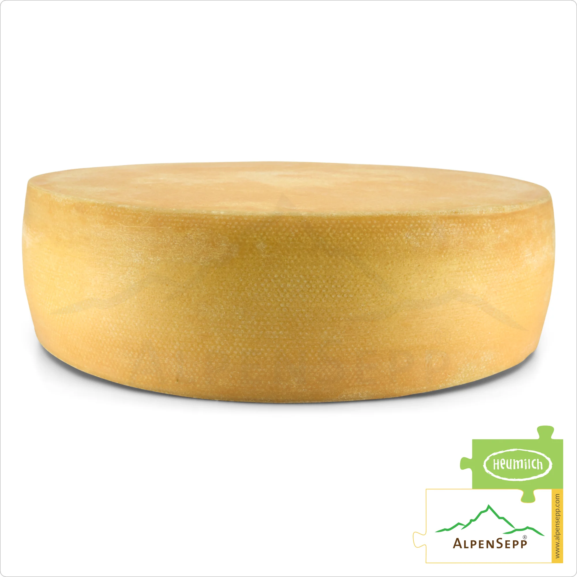 ALPS CHEESE WHEEL, spicy | Lactose-free PREMIUM alpine milk semi-hard cheese directly from the cheese cellar | 100% spicy and savory enjoyment guarantee | Perfect for raclette!