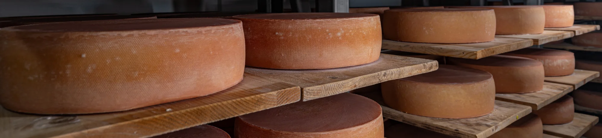 Merchant area 1 cheese cellar header