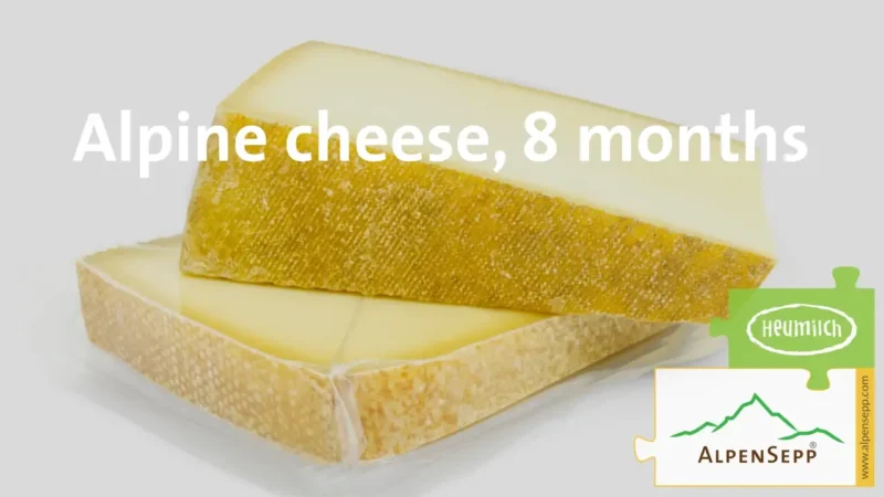 Culinary experience alpine cheese, 8 months