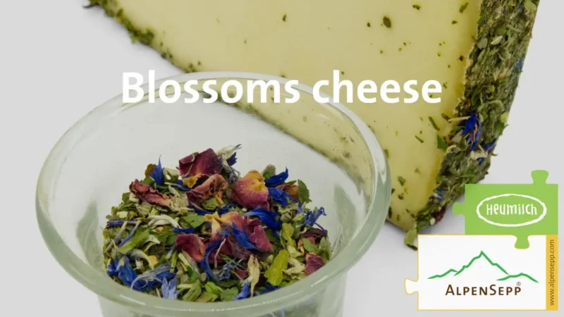 BLOSSOMS CHEESE | BLUMENKÄSE | 100% mild and harmonious pleasure guarantee with unique flower character | Lactose-free DELUXE semi-hard Austrian cheese straight from the cheese cellar 18 Culinary experience blossoms cheese
