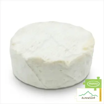 Camembert with WALNUTS made from Bregenzerwald hay milk | Pure nature from the original Grauvieh | fresh